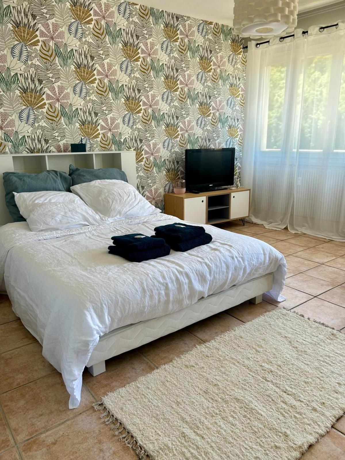 Studio Cosy De 30 M2 Au Coeur Des Thermes Royat Kültér fotó